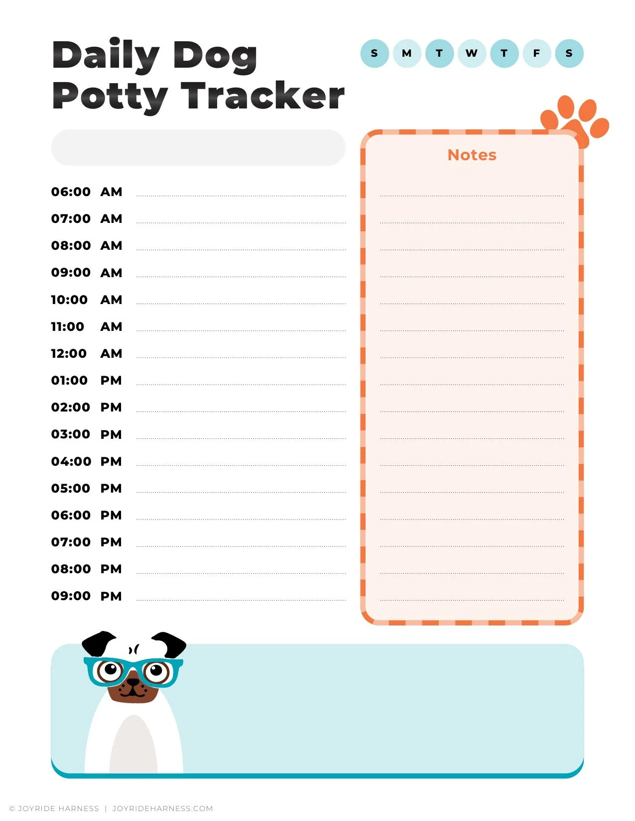 5 in 1 Essential Care Guide for Dog Parents - Image 3