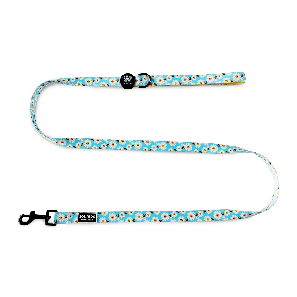 Blossoming Bees Matching Dog Leash - Image 4