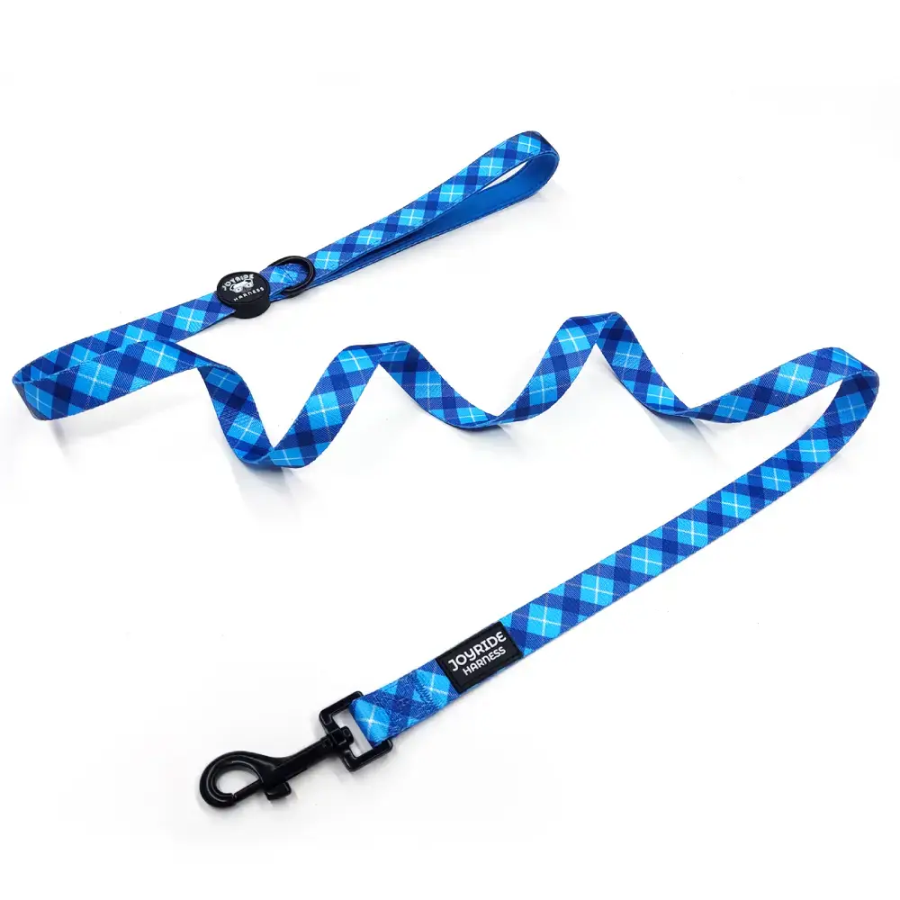 Blue Plaid Matching Dog Leash - Image 4