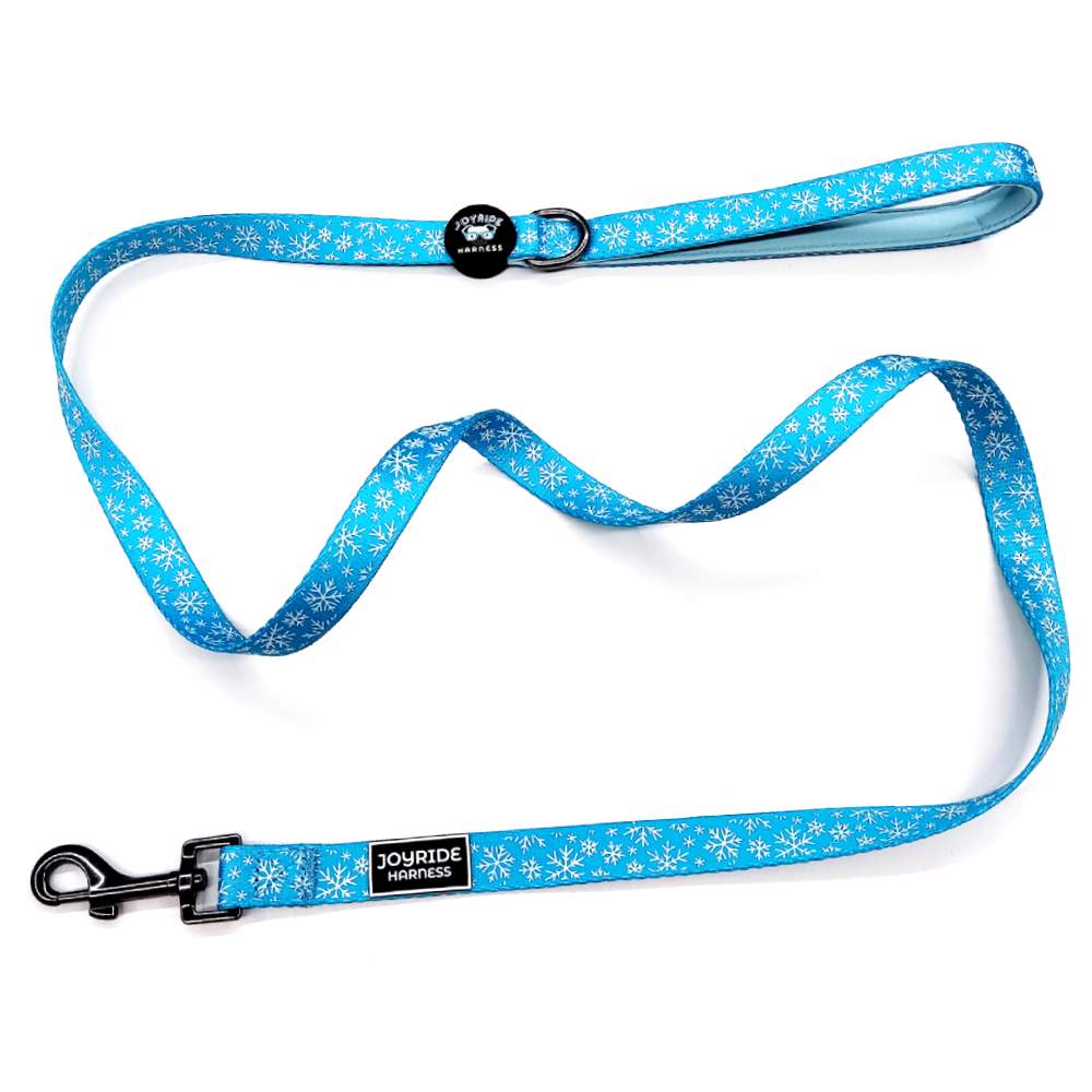 Blue Snowflake Matching Dog Leash - Image 4