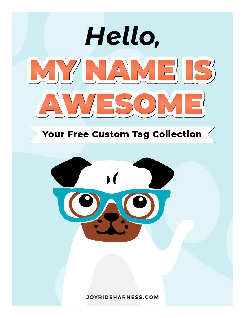 Free Custom Name Tags for 2.0 Harnesses PDF - 13 Tags Included ( -$19.95) - Image 2