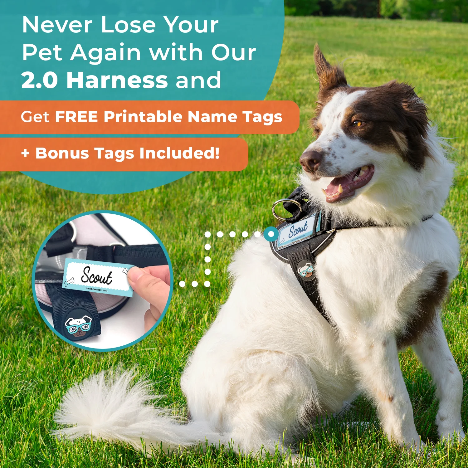 Free Custom Name Tags for 2.0 Harnesses PDF - 13 Tags Included ( -$19.95) - Image 3