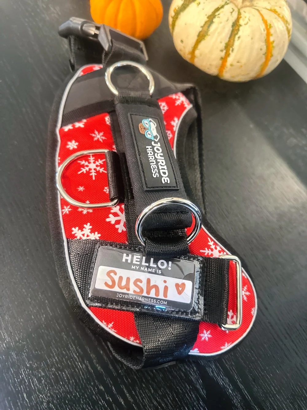Free Custom Name Tags for 2.0 Harnesses PDF - 13 Tags Included ( -$19.95) - Image 5