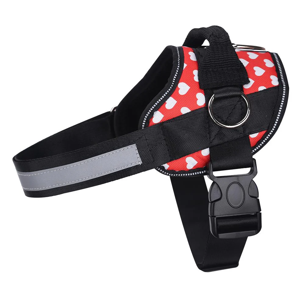 Discount Limited Edition Harness - Image 10