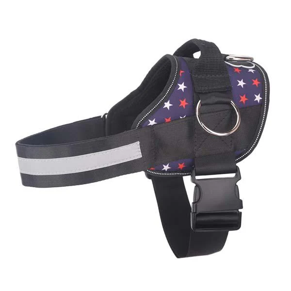 Discount Limited Edition Harness - Image 11