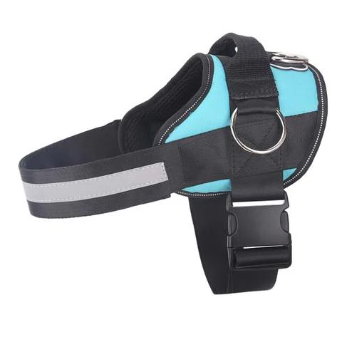 Discount Limited Edition Harness - Image 4