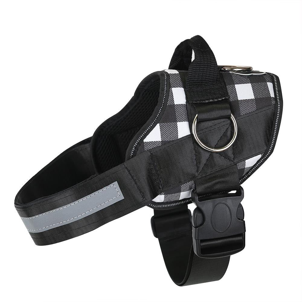 Discount Limited Edition Harness - Image 5