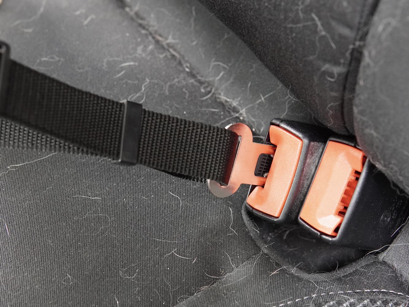 Safety Seatbelt for Dogs | 15% Off - Image 3