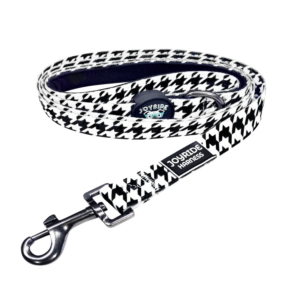 Matching Dog Leash | Bundle - Image 2