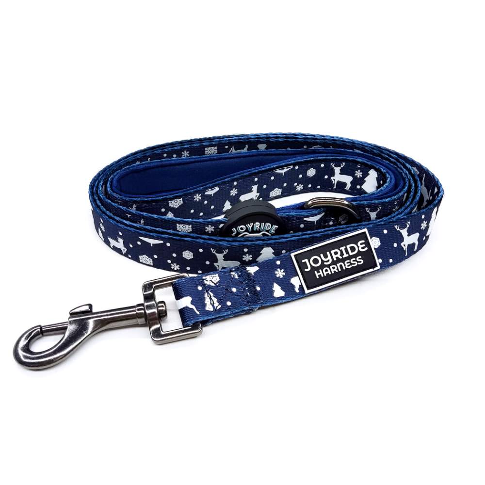 Matching Dog Leash | Bundle - Image 7
