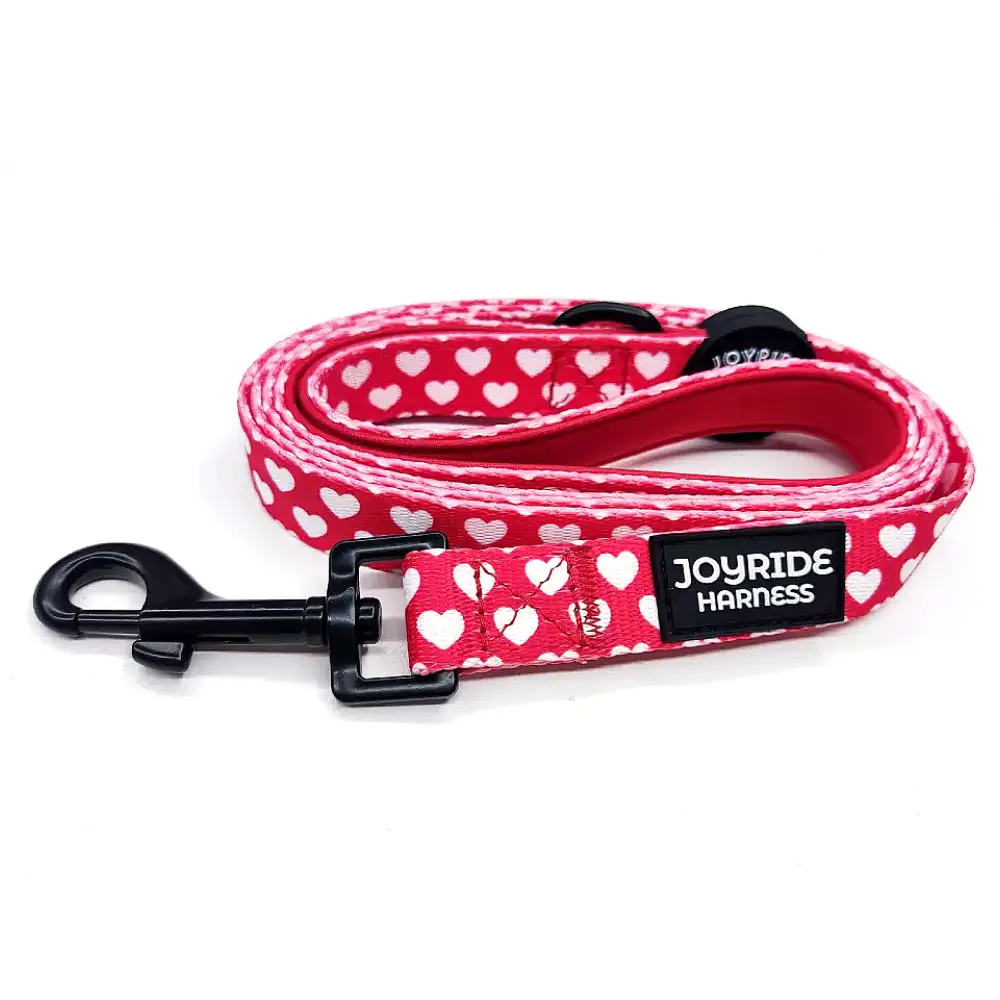 Matching Dog Leash | 15% off - Image 4