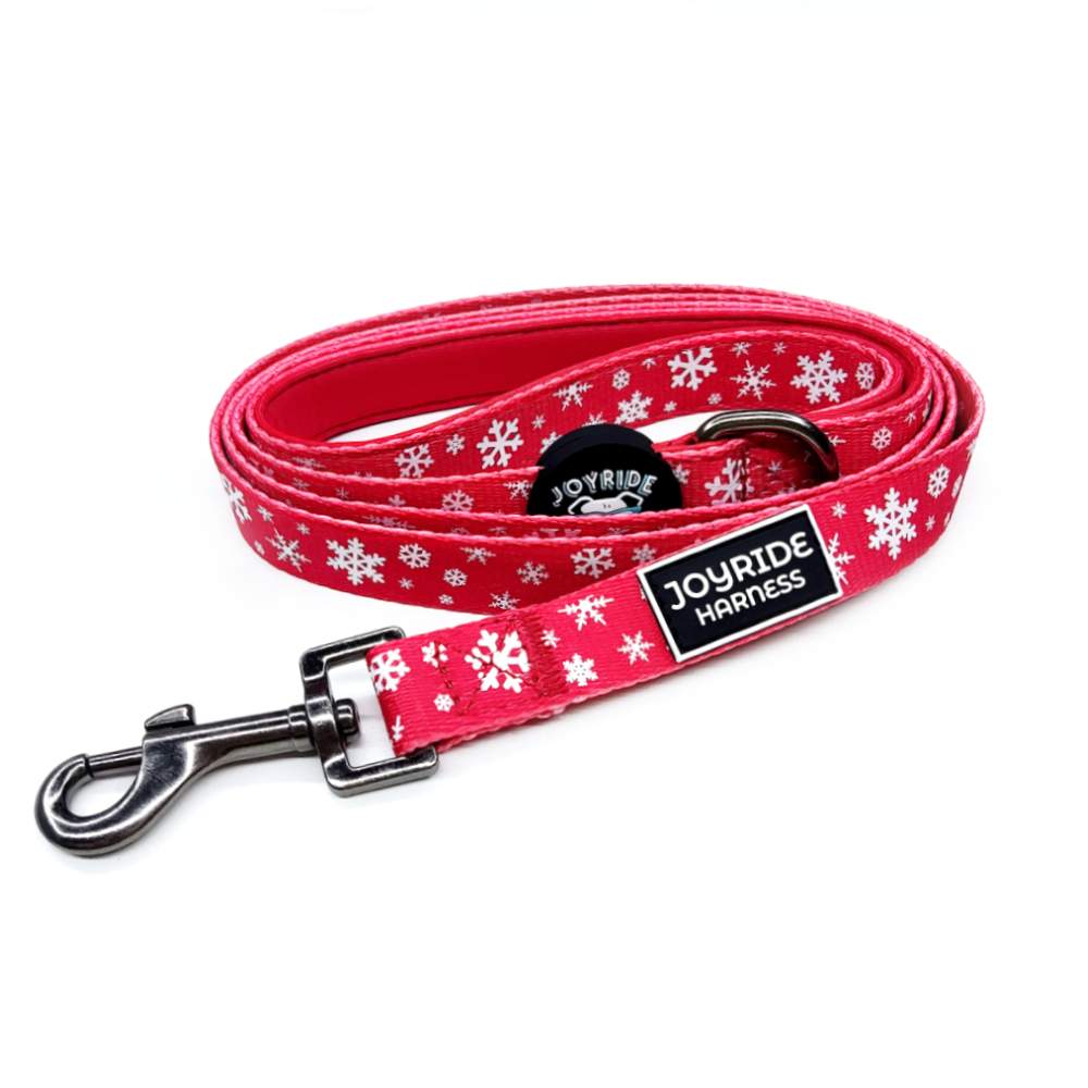 Matching Dog Leash | Bundle - Image 6