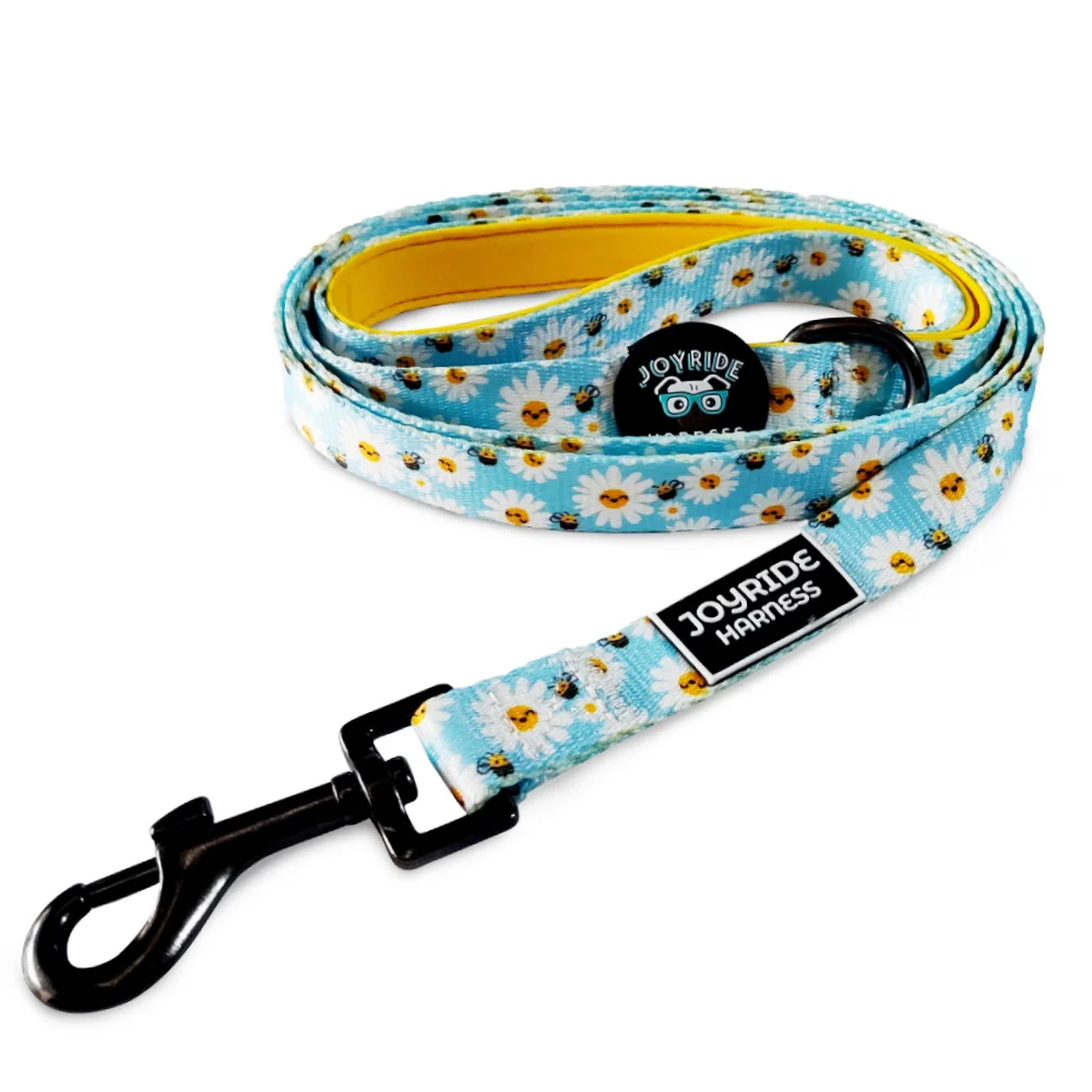Dog Leashes (Patterns) - Image 3