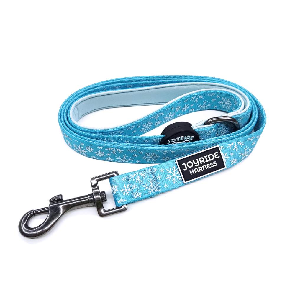 Matching Dog Leash | Bundle - Image 5