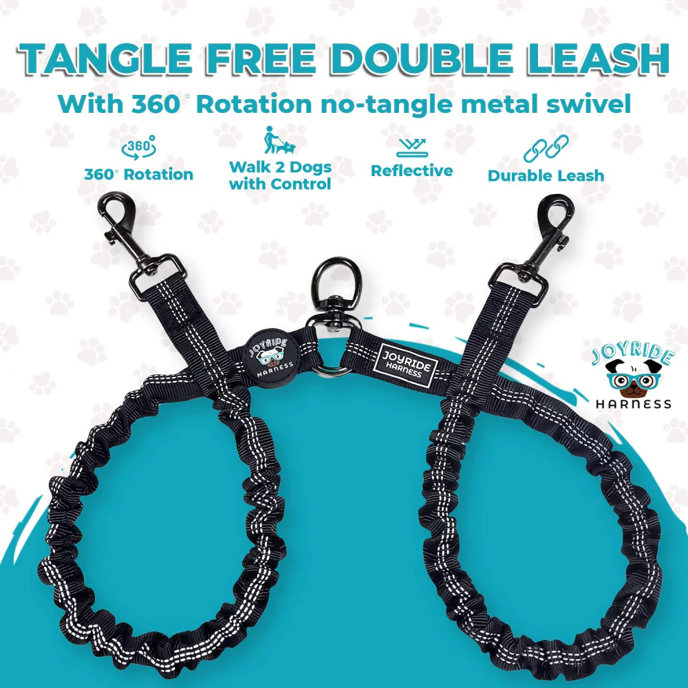 Dual Double Dog Leash - Image 4