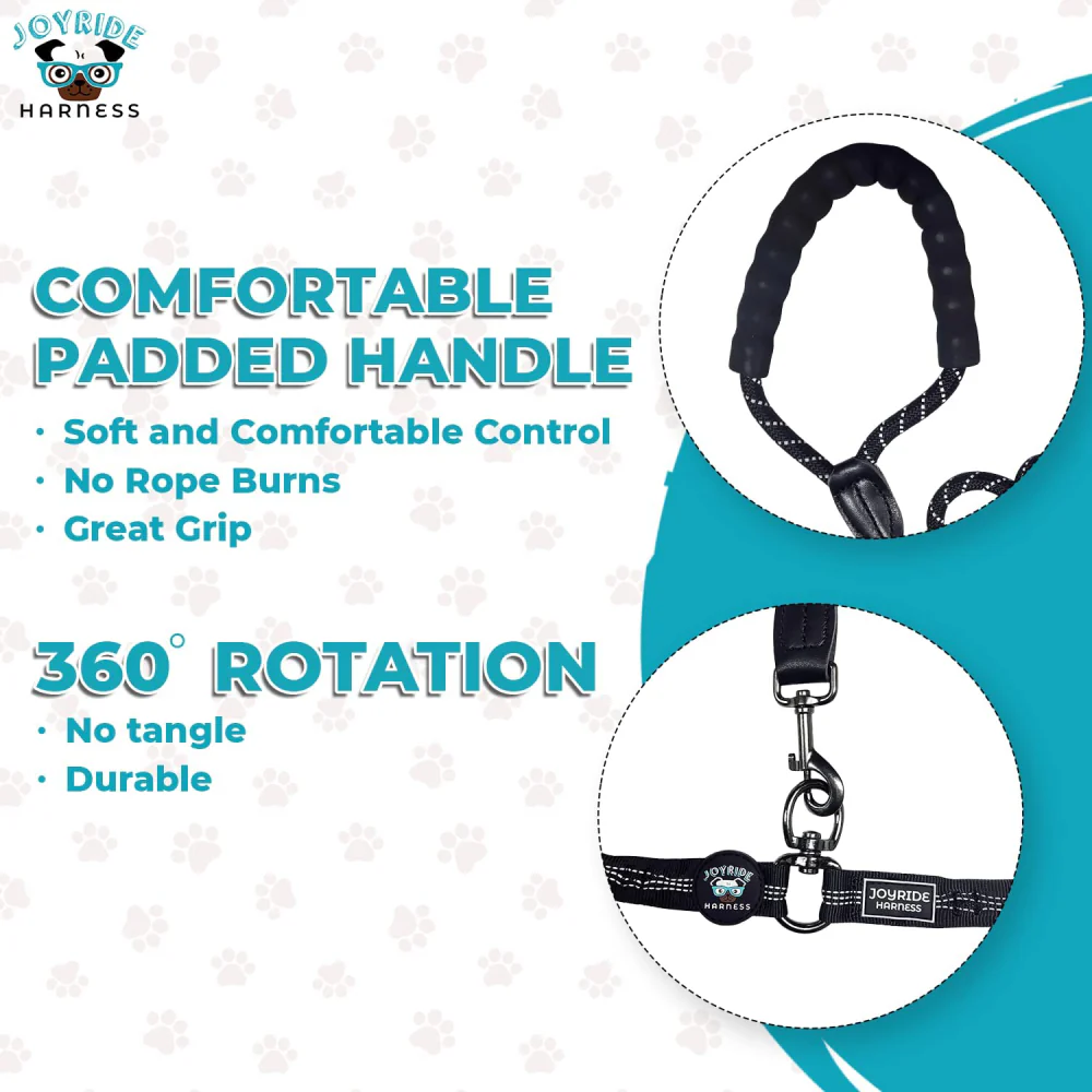 Dual Double Dog Leash - Image 5