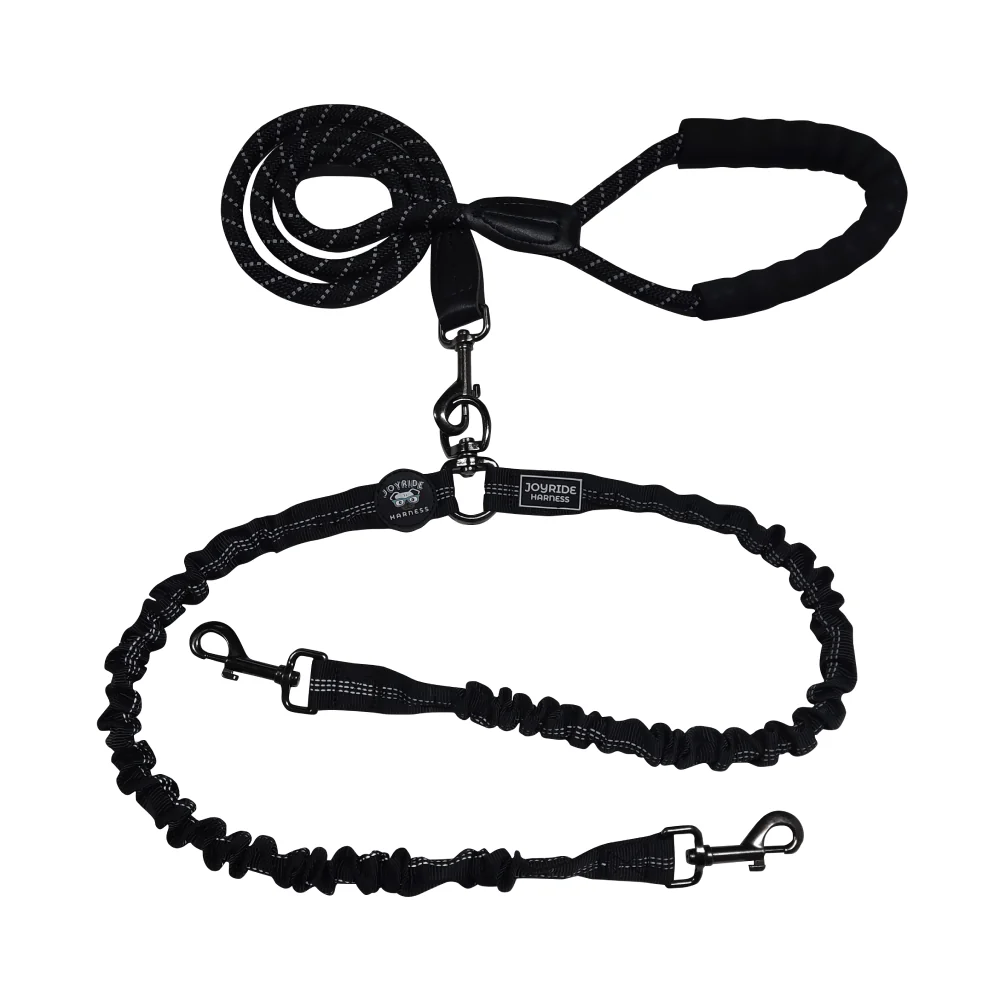 Dual Double Dog Leash - Image 8