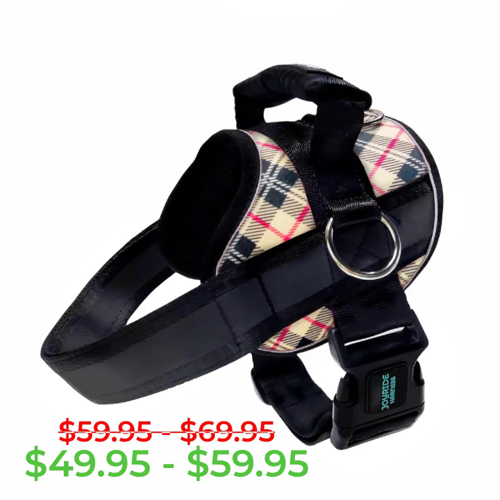 Fall Plaid Joyride Premium Advanced Dog Harness 2.0 - Image 12