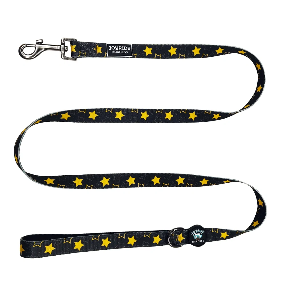 Golden Starshine Limited Edition Matching Dog Leash - Image 2