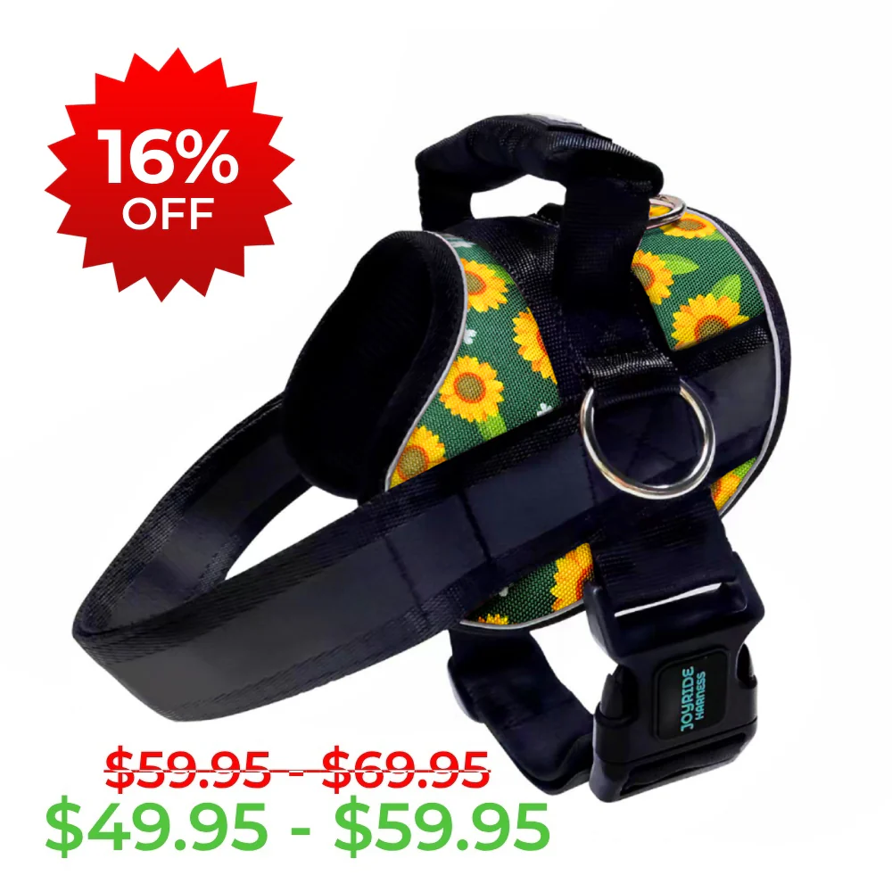 Golden Sunflower Limited Edition Joyride Premium Advanced Dog Harness 2.0