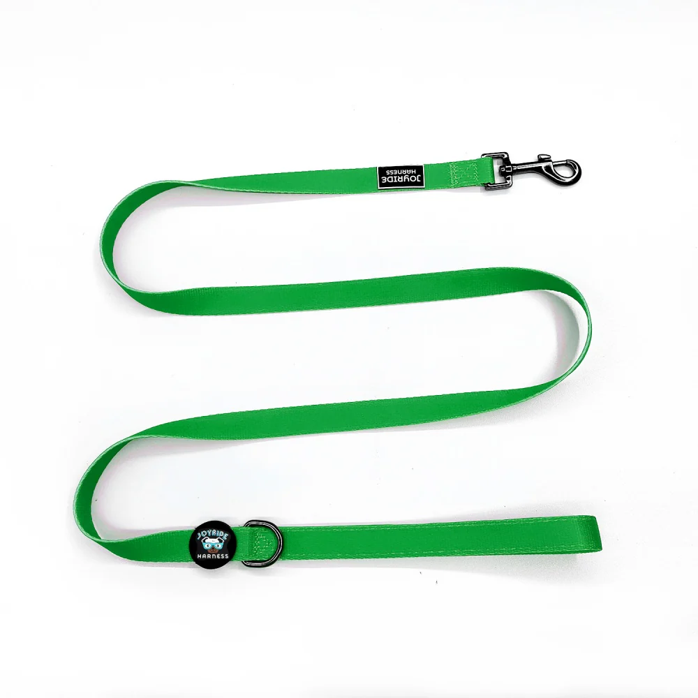 Grass Green Matching Dog Leash - Image 2