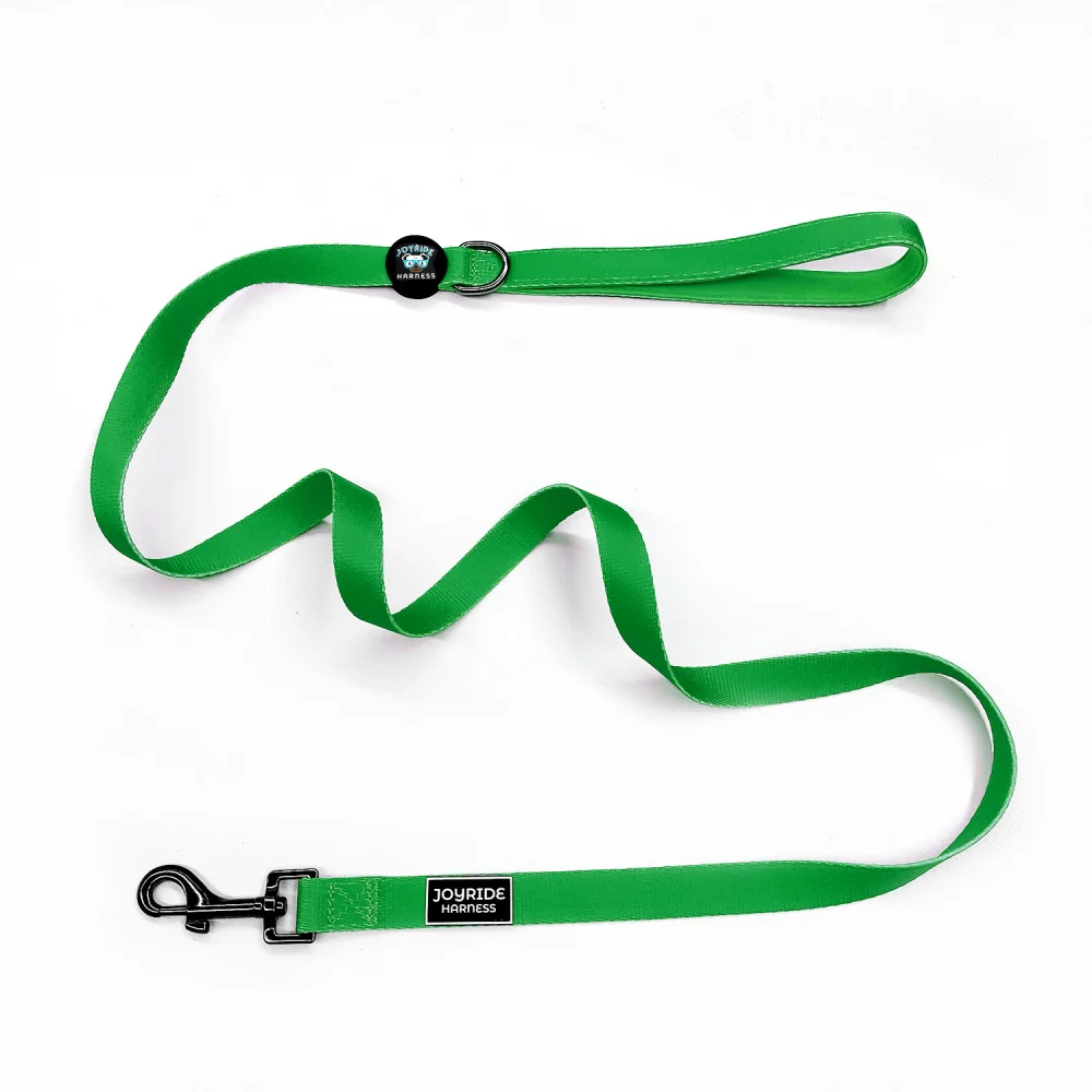 Grass Green Matching Dog Leash - Image 3