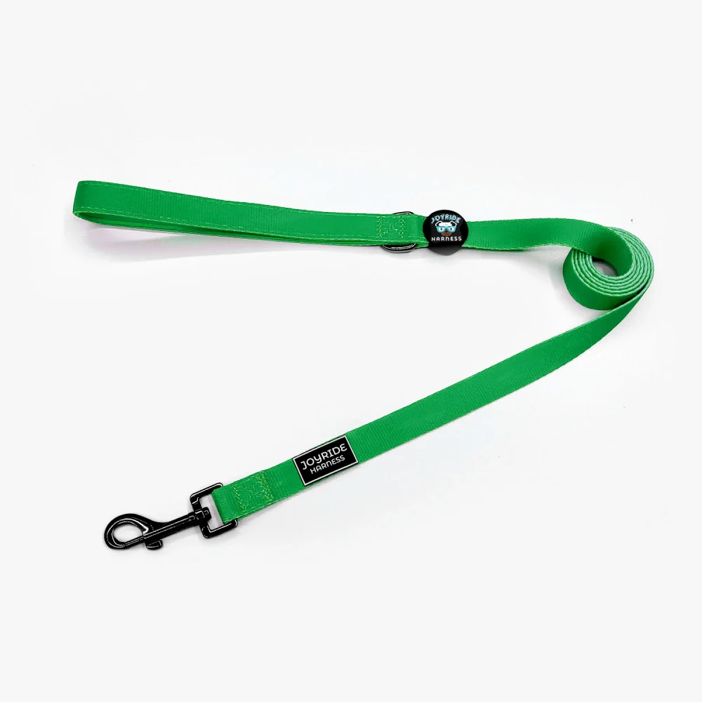 Grass Green Matching Dog Leash - Image 4