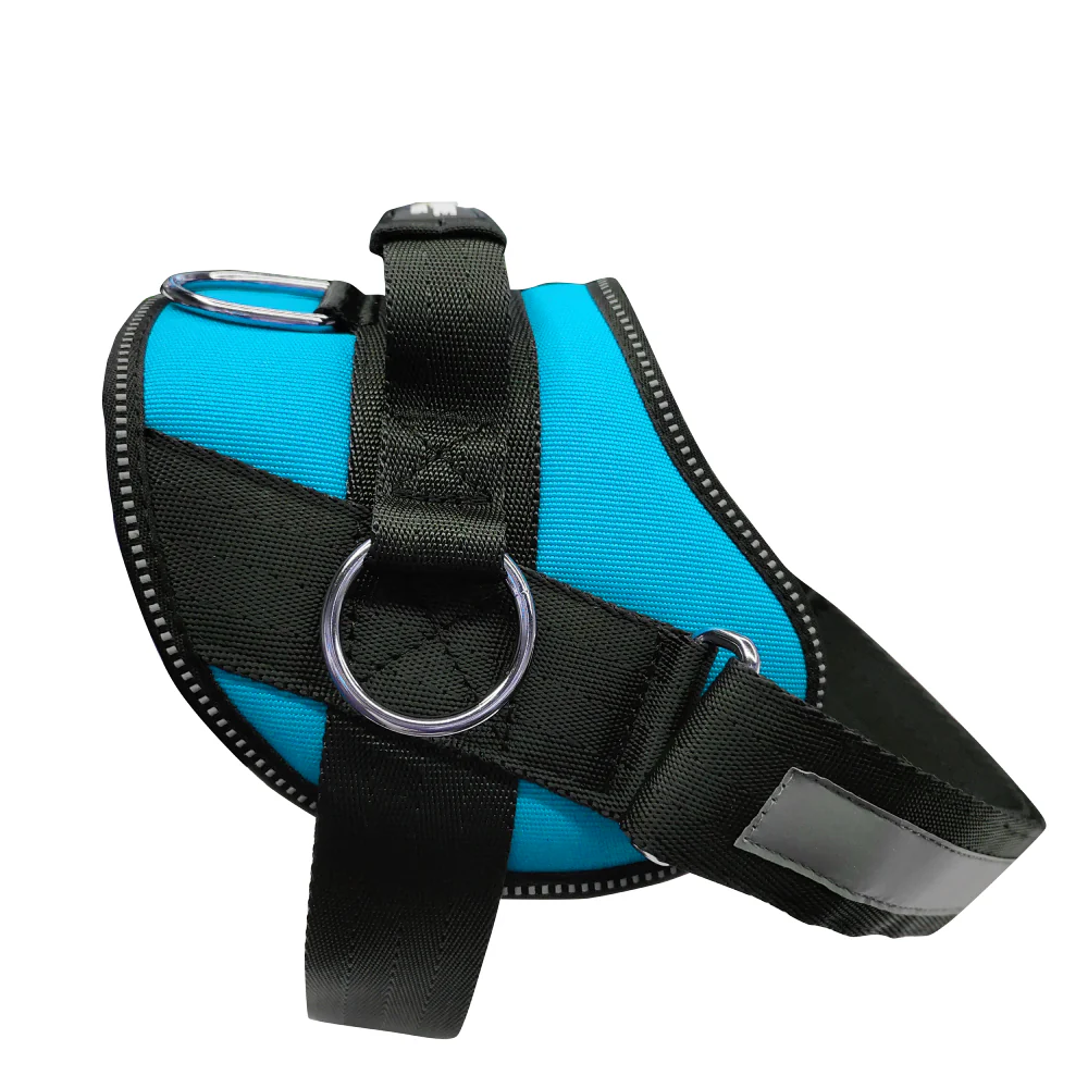Joyride Basic Essential Dog Harness 1.0+ (Solid Colors) - Image 12