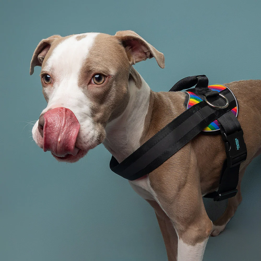 Joyride Premium Advanced Dog Harness 2.0 (Patterns) - Image 2
