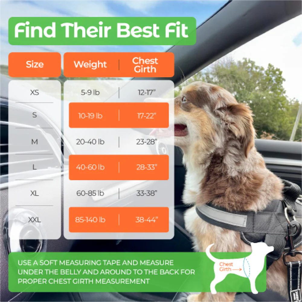 Joyride Premium Advanced Dog Harness 2.0 (Solid Colors) - Image 4
