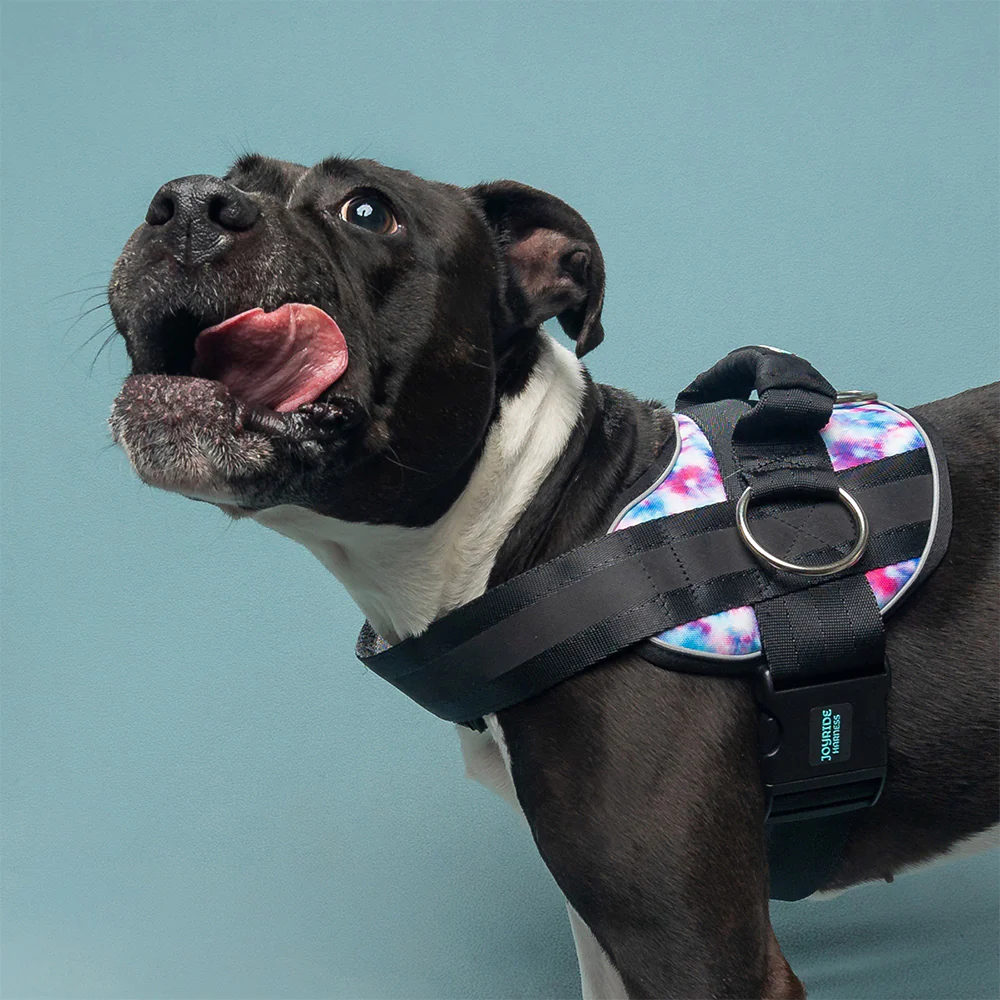 Joyride Premium Advanced Dog Harness 2.0 (Patterns) - Image 5