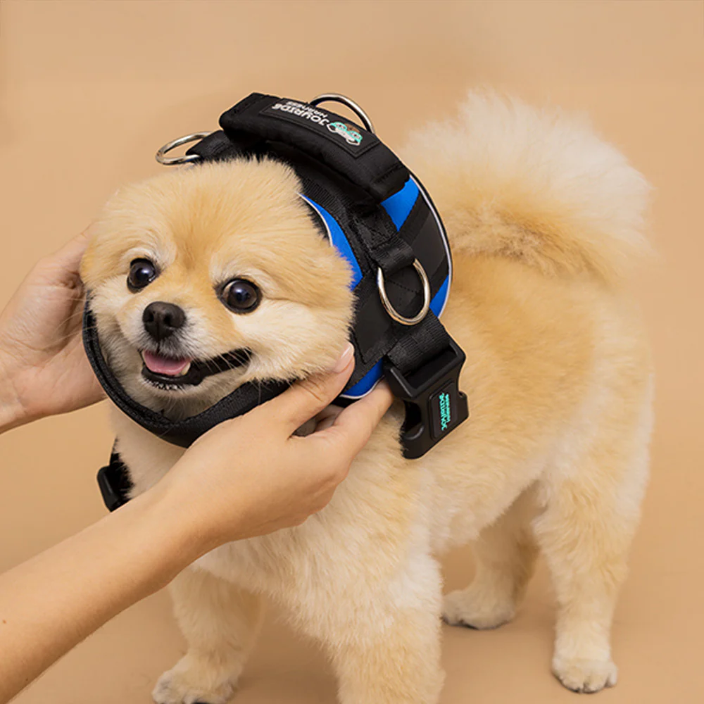 Joyride Premium Advanced Dog Harness 2.0 (Solid Colors) - Image 5