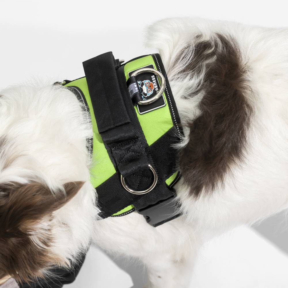 Joyride LUXE Dog Harness 1.0 - Image 9