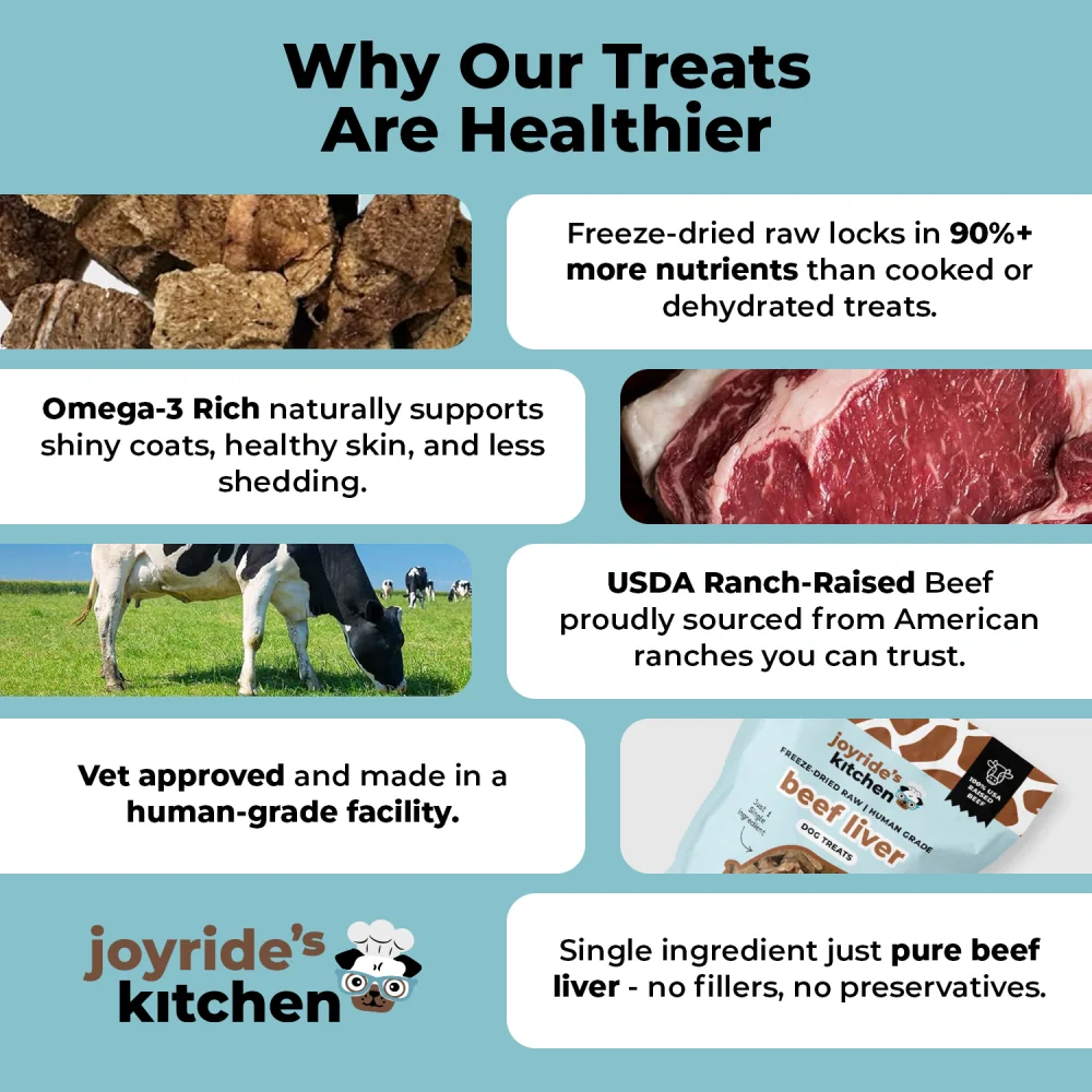 Joyride's Kitchen Beef Liver Freeze-Dried Raw Dog Treats - Image 3