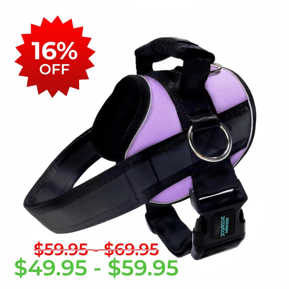 Lavender Breeze Joyride Premium Advanced Dog Harness 2.0