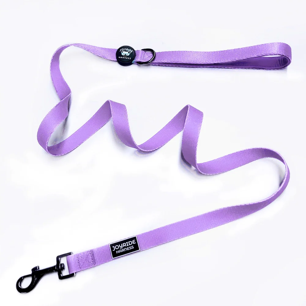 Lavender Breeze Matching Dog Leash - Image 2
