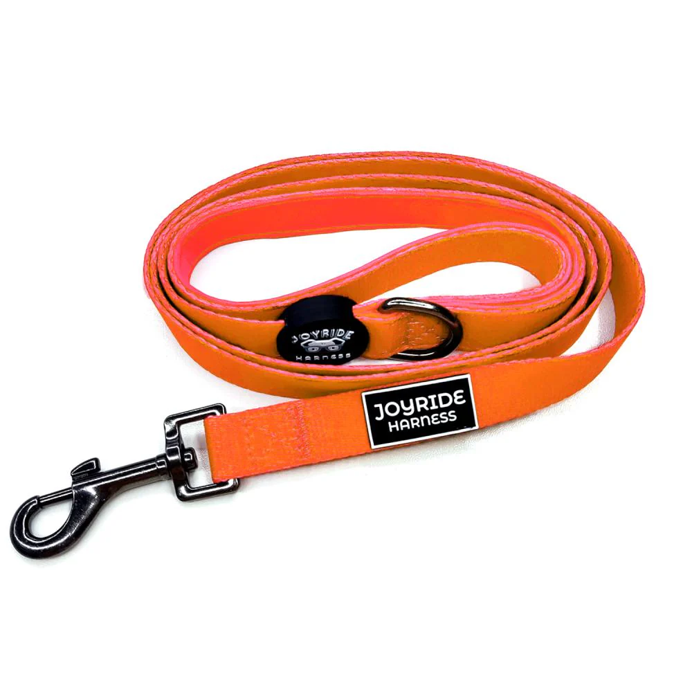 Matching Dog Leash (Solid Colors) - Image 9