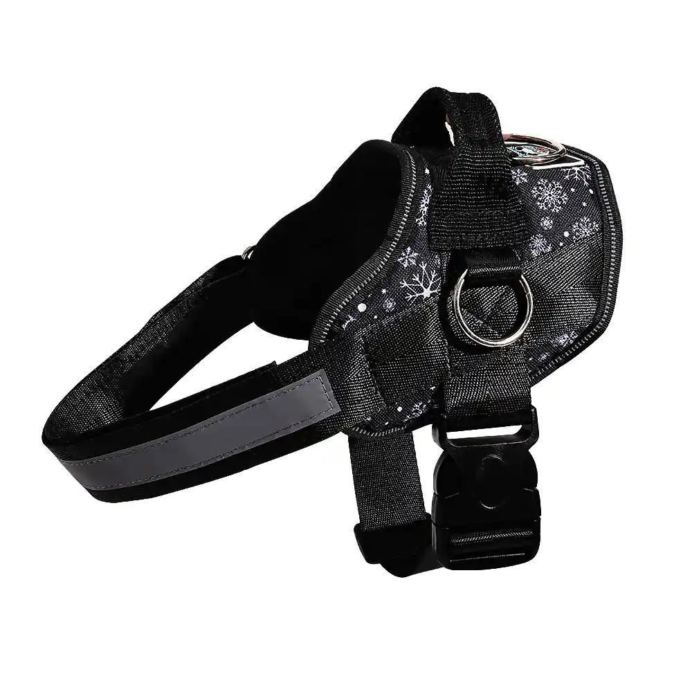 Matching Limited Edition Joyride Harness | 15% Off - Image 11