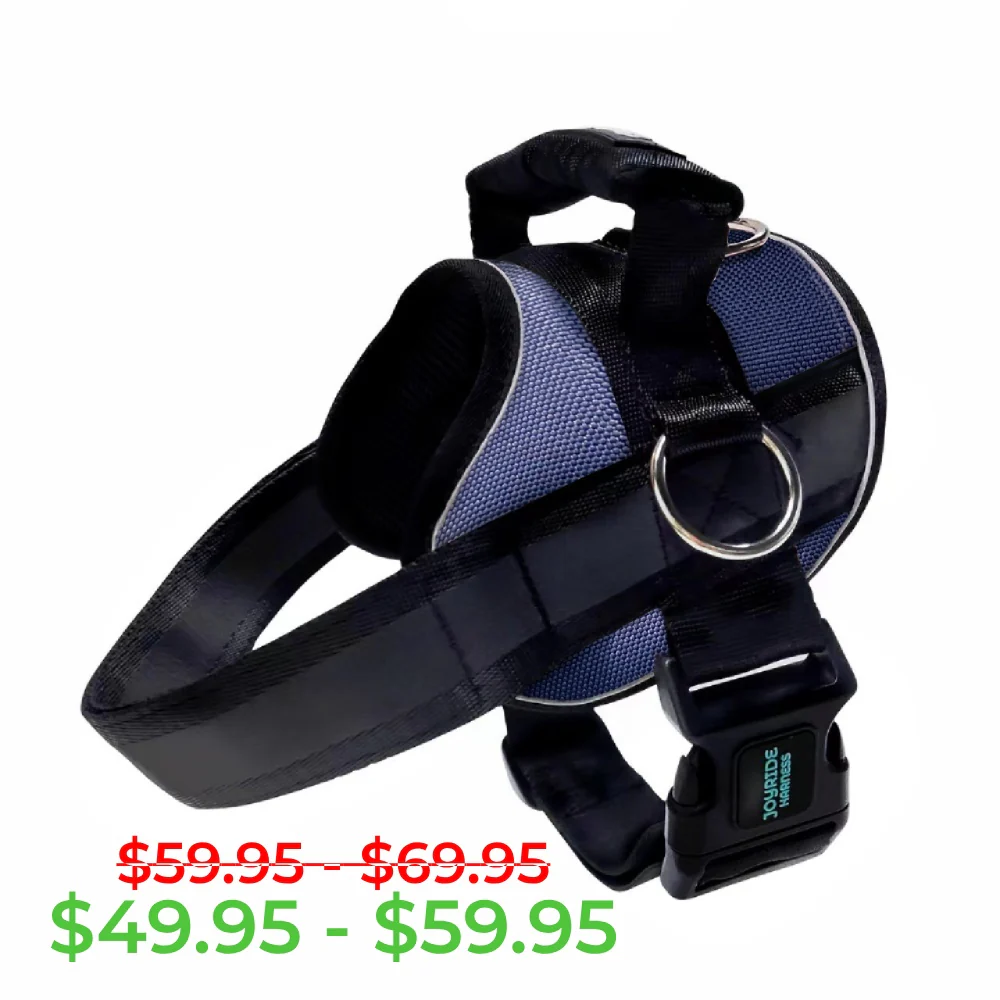 Midnight Blue Joyride Premium Advanced Dog Harness 2.0 - Image 11