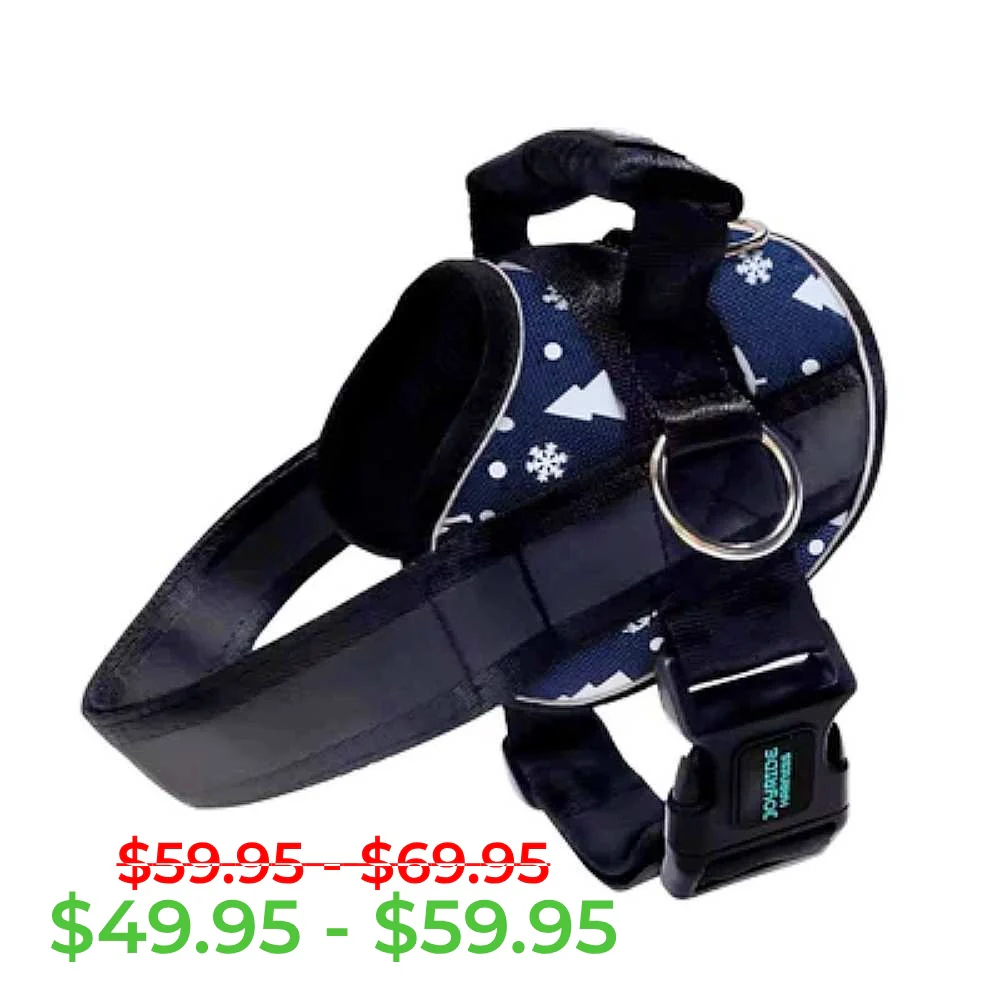 Navy Wonderland Joyride Premium Advanced Dog Harness 2.0 - Image 11