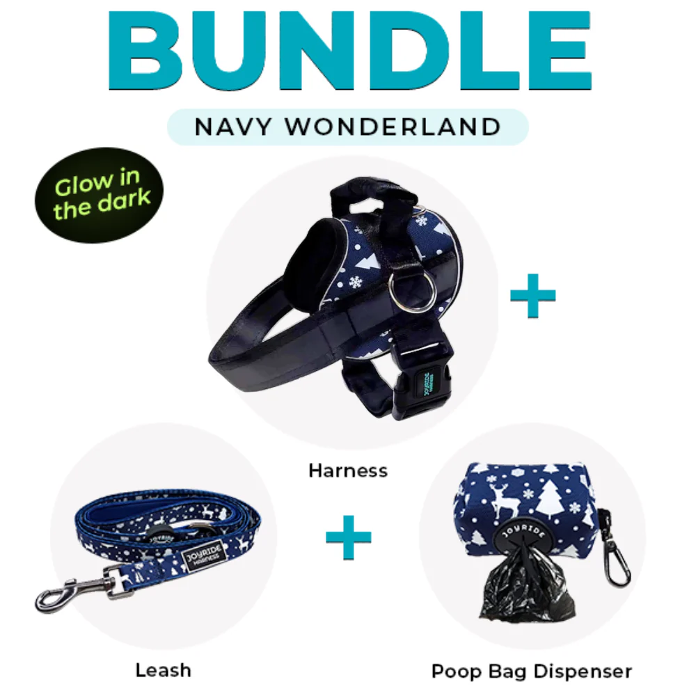 Dog Harness Clearance Sale