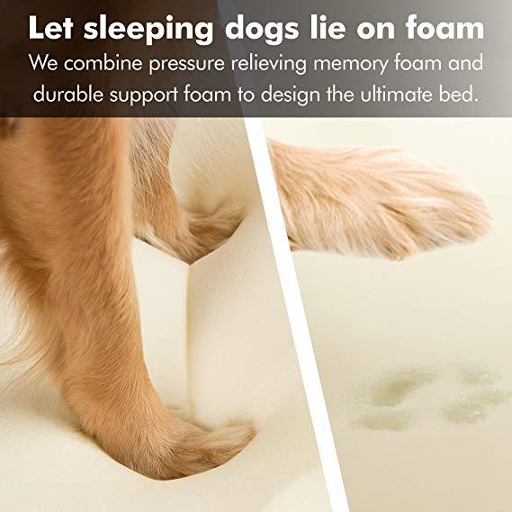 Dog Beds - Final Sale - Image 4