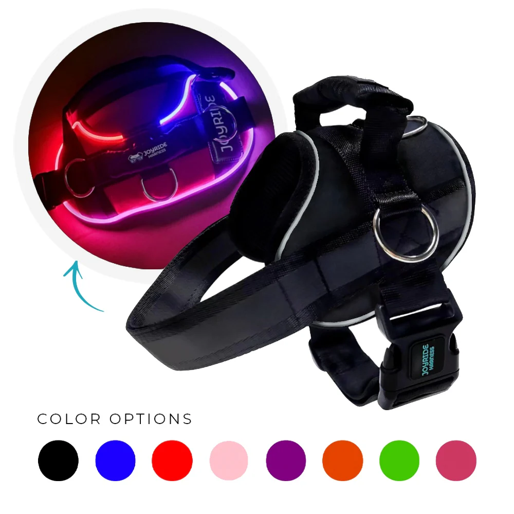 NEW! NightSafe LED Light Up Dog Harness 2.0 - Image 24