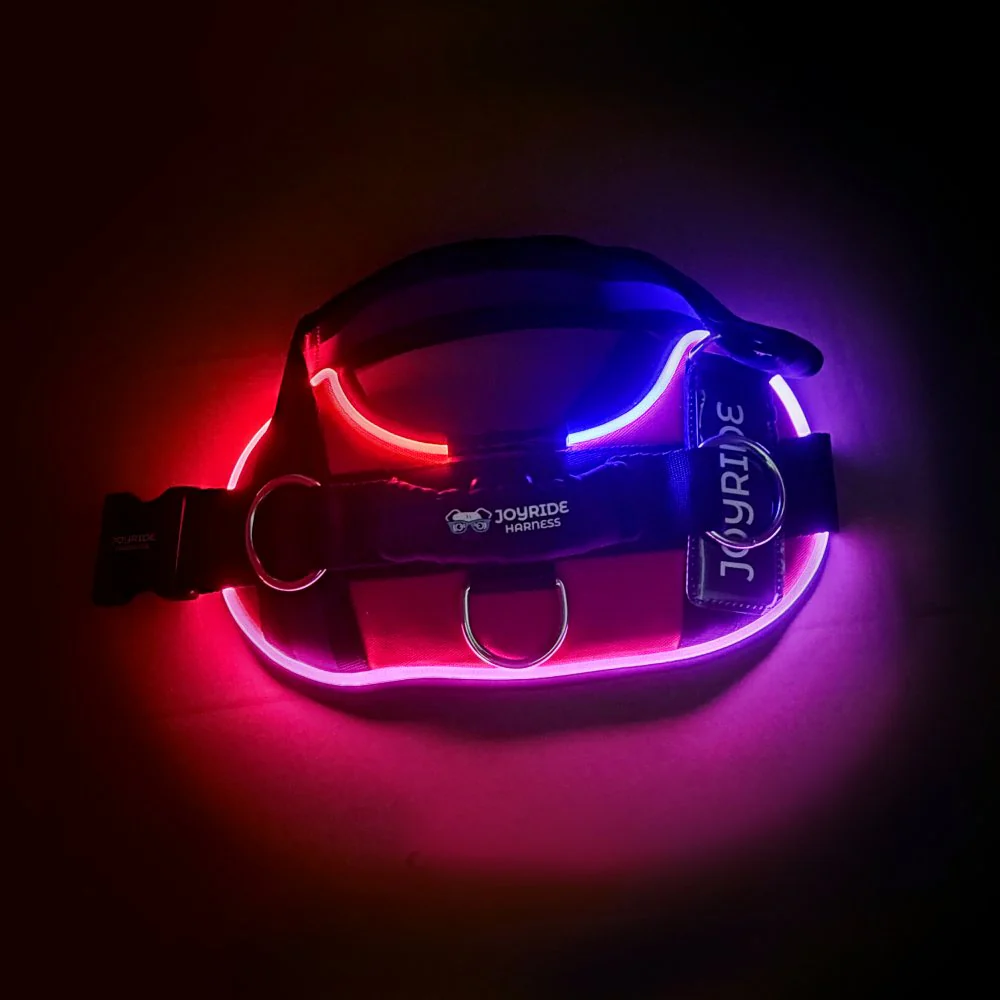 NEW! NightSafe LED Light Up Dog Harness 2.0 - Image 10