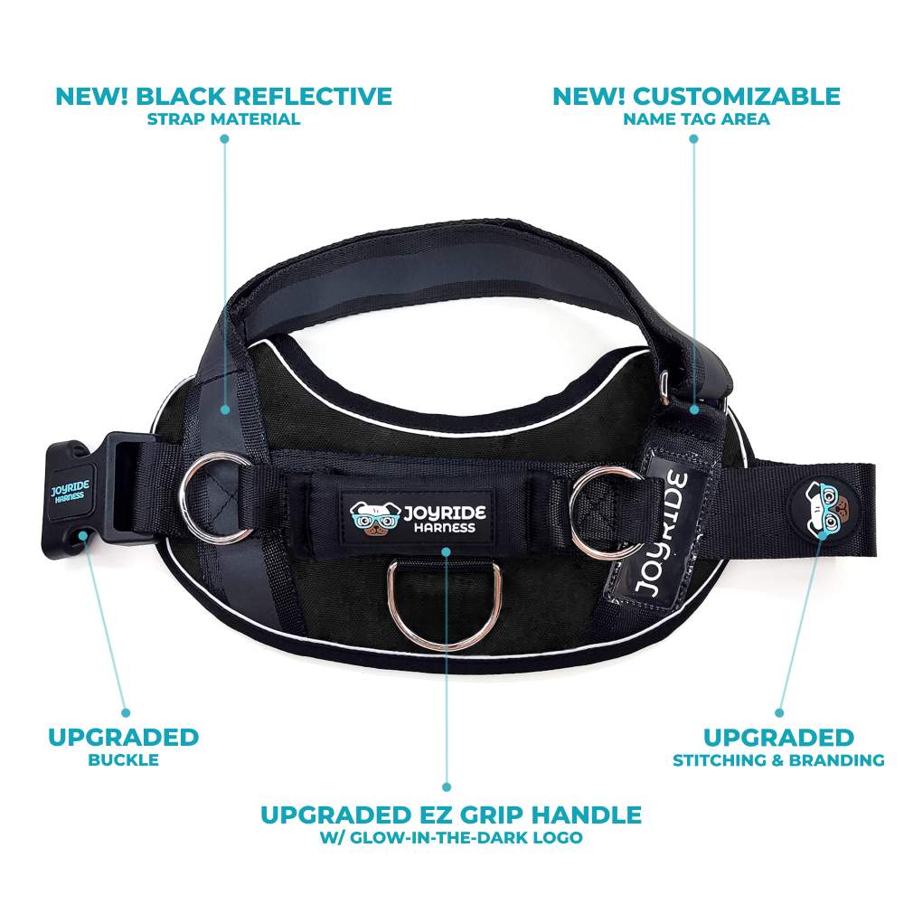 NEW! NightSafe LED Light Up Dog Harness 2.0 - Image 14