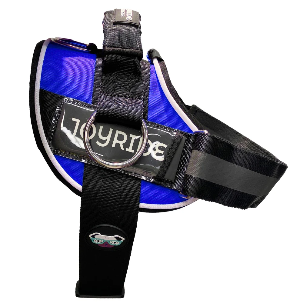 NEW! NightSafe LED Light Up Dog Harness 2.0 - Image 15