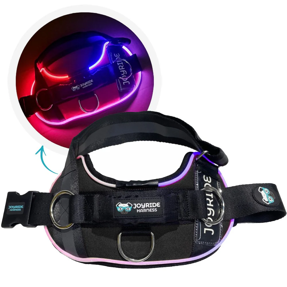 NEW! NightSafe LED Light Up Dog Harness 2.0 - Image 16