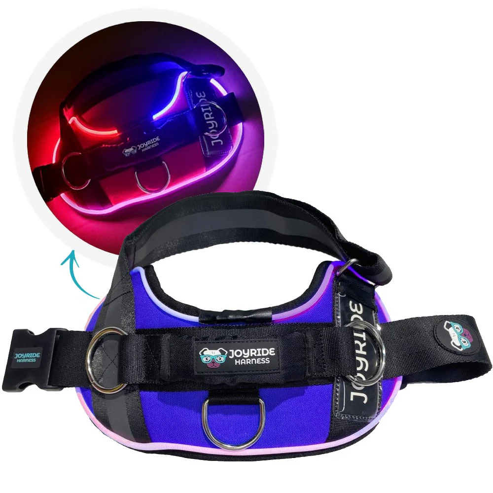NEW! NightSafe LED Light Up Dog Harness 2.0 - Image 17