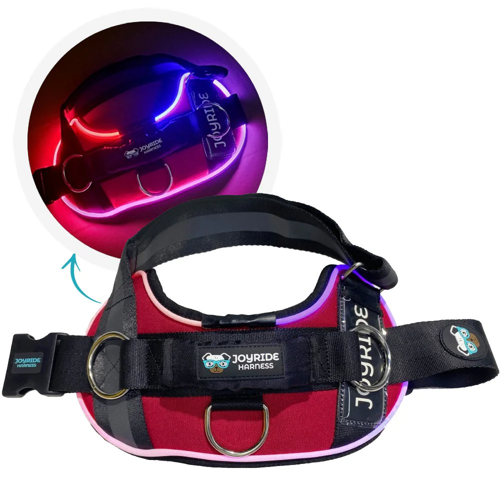 NEW! NightSafe LED Light Up Dog Harness 2.0 - Image 18