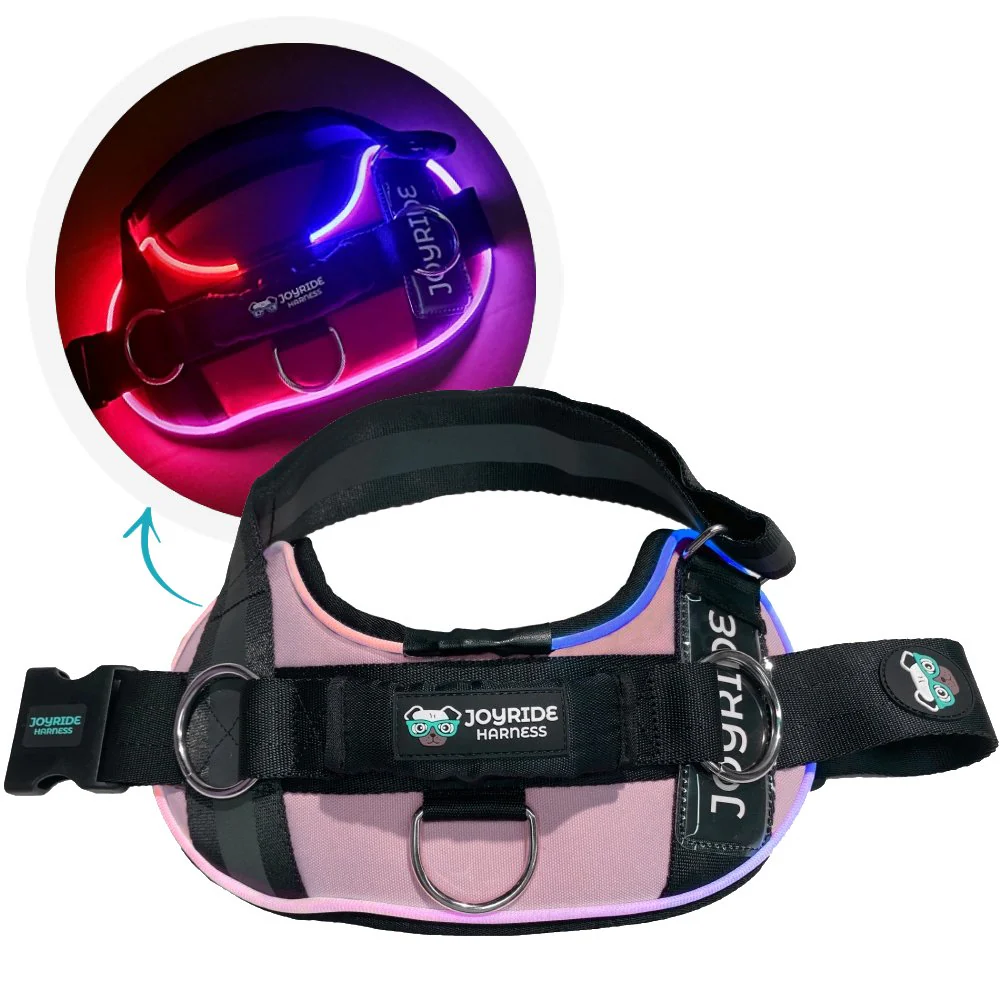 NEW! NightSafe LED Light Up Dog Harness 2.0 - Image 19